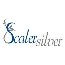 Scaler Silver