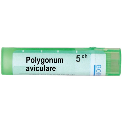 Boiron Polygonum aviculare Полигонум авикуларе 5 СН