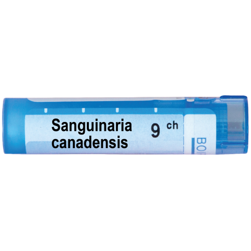 Boiron Sanguinaria canadensis Сангуинариа канаденсис 9 СН