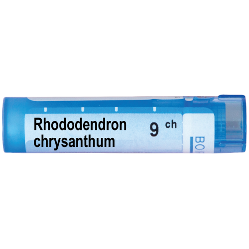 Boiron Rhododendron chrysanthum Рододендрон хризантум 9 СН