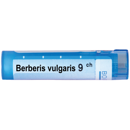 Boiron Berberis vulgaris Берберис вулгарис 9 СН