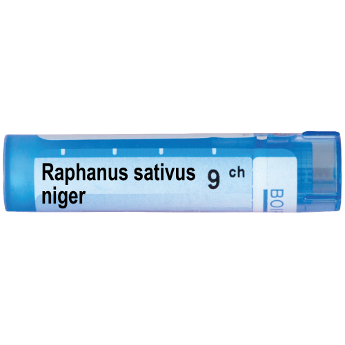 Boiron Raphanus sativus niger Рафанус сативус нигер 9 СН