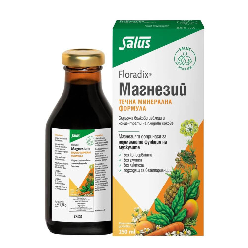 Floradix Magnesium сироп 250 мл