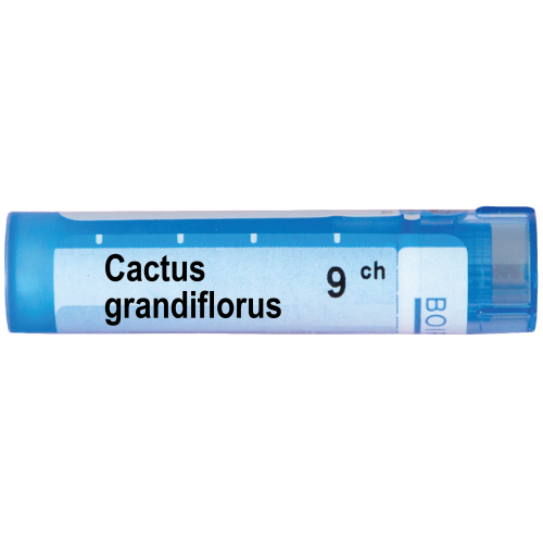 Boiron Cactus grandiflorus Кактус грандифлорус 9 СН
