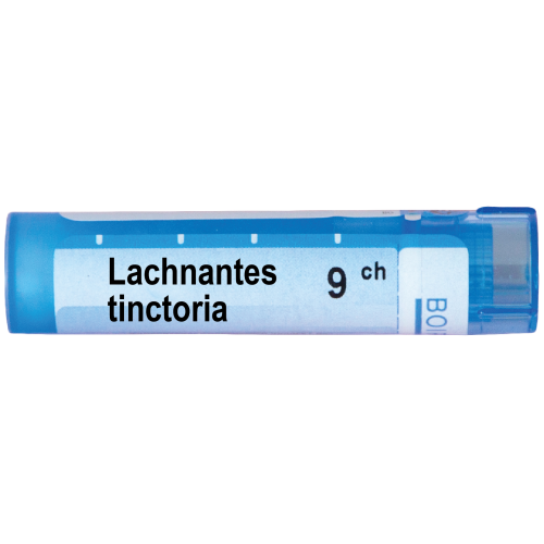 Boiron Lachnantes tinctoria Лачнантес тинктория 9 СН