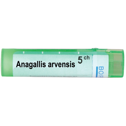 Boiron Anagallis arvensis Анагалис арвенсис 5 СН 