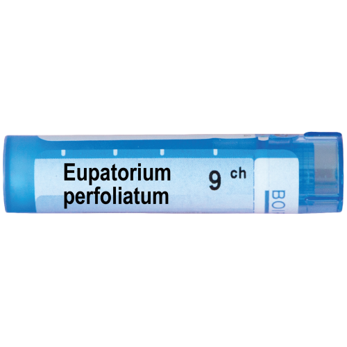 Boiron Eupatorium perfoliatum Еупаториум перфолиатум 9 СН
