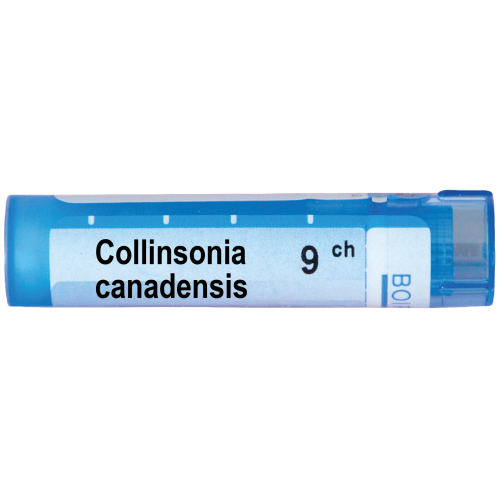 Boiron Collinsonia canadensis Колинсониа канаденсис 9 СН