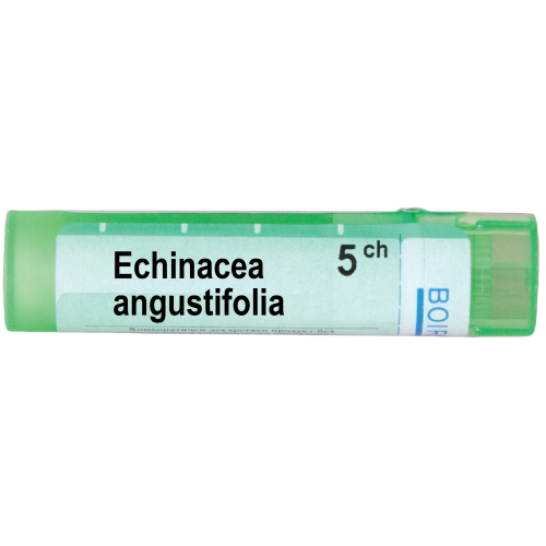 Boiron Echinacea angustifolia Ехинацеа ангустифолиа 5 СН