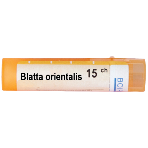 Boiron Blatta orientalis Блата ориенталис 15 СН