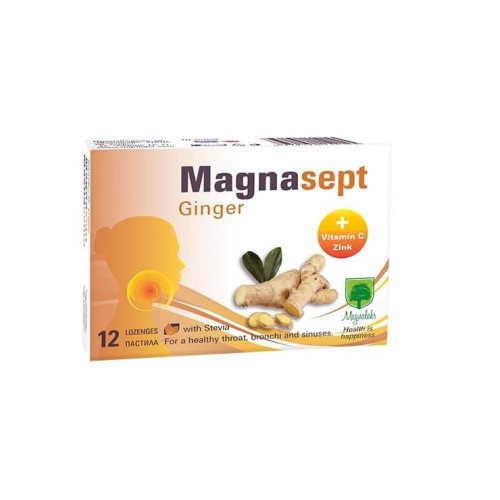 Магнасепт Джинджифил х 12 пастила Magnalabs