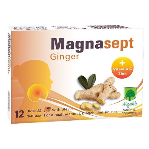 Магнасепт Джинджифил х 12 пастила Magnalabs