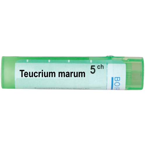 Boiron Teucrium marum Теукриум марум 5 СН