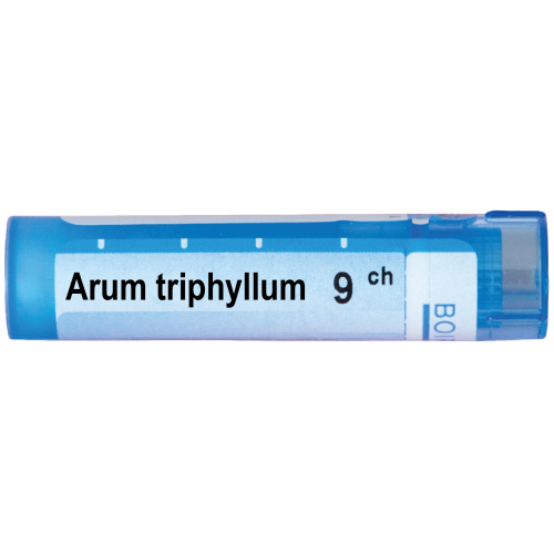 Boiron Arum triphyllum Арум трифилум 9 СН