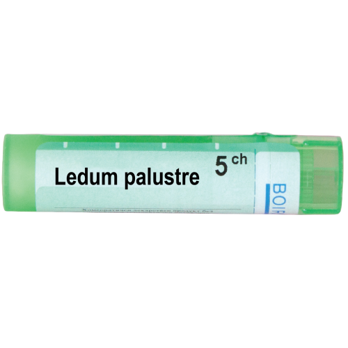 Boiron Ledum palustre Ледум палустре 5 СН
