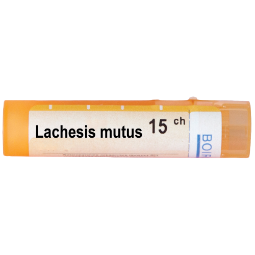 Boiron Lachesis mutus Лачесис мутус 15 СН