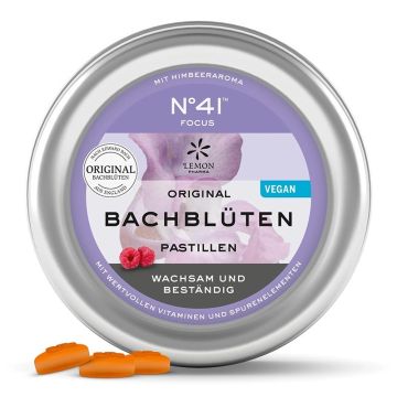 N41 Focus Dr Bach Пастили Фокус 50 г