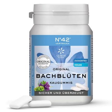 N42 Confidence Dr Bach Дъвки Доверие 60 g
