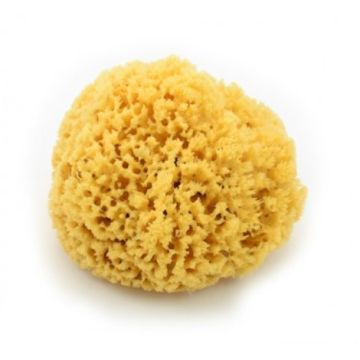 Magnum Natural 165 Коралова гъба за баня 14-16 см