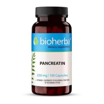 Bioherba Pancreatin ензими капсули 250 мг х 100 бр