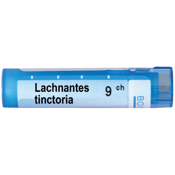 Boiron Lachnantes tinctoria Лачнантес тинктория 9 СН