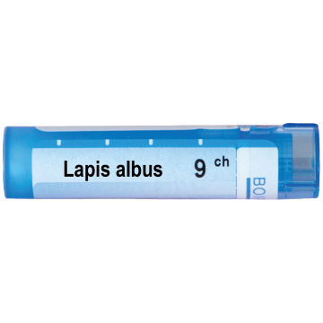 Boiron Lapis albus Лапис албус 9 СН
