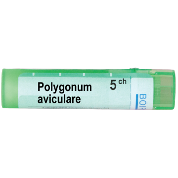 Boiron Polygonum aviculare Полигонум авикуларе 5 СН