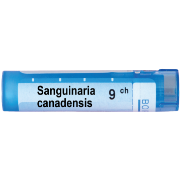 Boiron Sanguinaria canadensis Сангуинариа канаденсис 9 СН