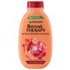 Garnier Botanic Therapy Castor Oil & Maple Sap Шампоан за увредена коса с масло от рицин и сок от клен 250 мл