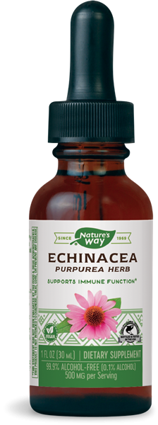 Nature's Way Echinacea Ехинацея срещу простуда и грип 30 мл