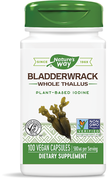 Nature's Way Bladderwrack Кафяви водорасли за здрава щитовидна жлеза 600 мг х100 V капсули