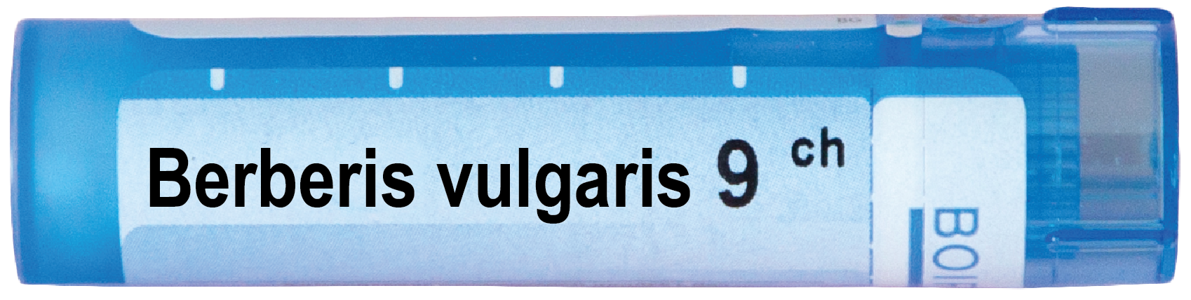 Boiron Berberis vulgaris Берберис вулгарис 9 СН