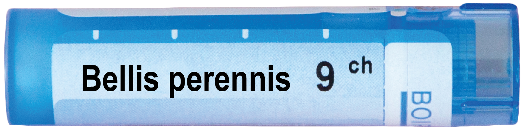 Boiron Bellis perennis 9 СН