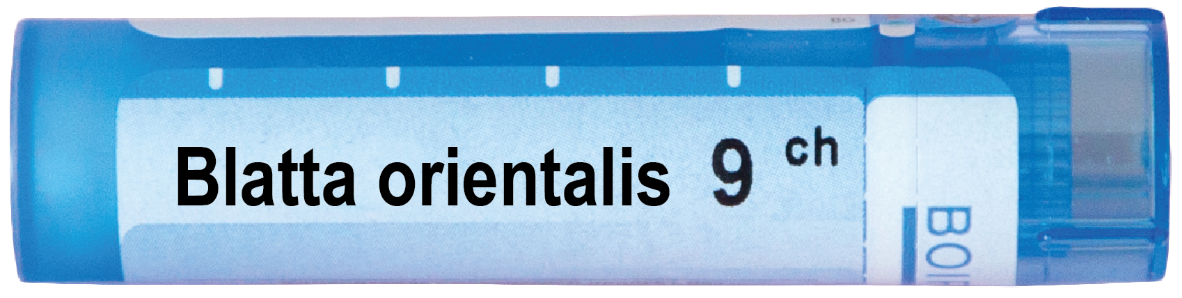 Boiron Blatta orientalis Блата ориенталис 9 СН