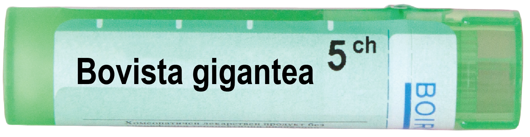 Boiron Bovista gigantea Бовиста гигантеа 5 СН