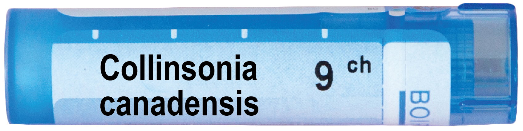 Boiron Collinsonia canadensis Колинсониа канаденсис 9 СН