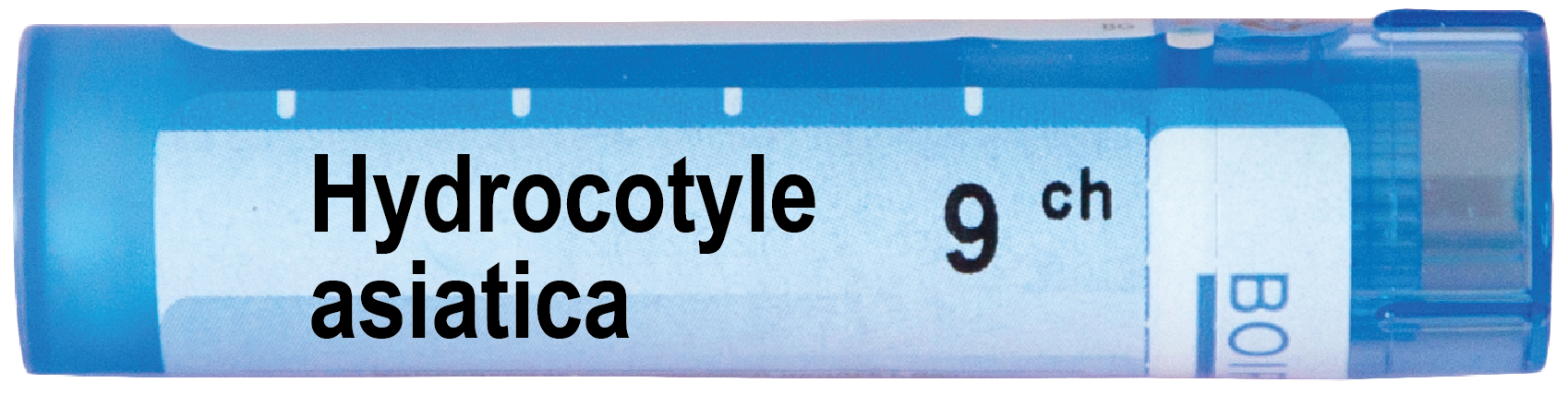 Boiron Hydrocotyle asiatica Хидрокотил азиатика 9 СН