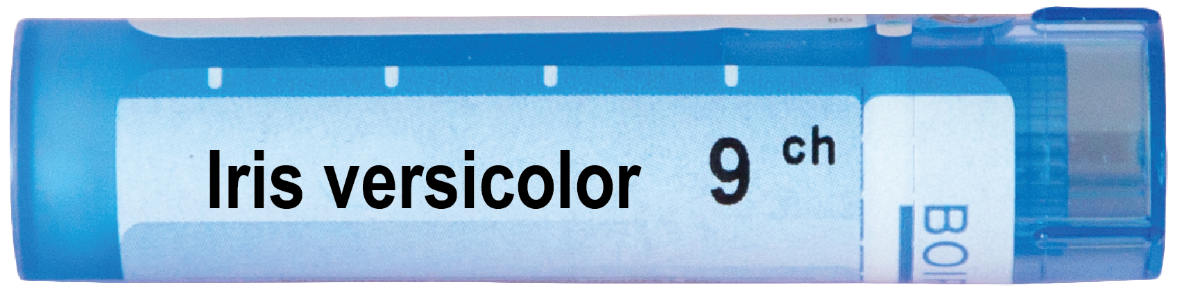 Boiron Iris versicolor Ирис версиколор 9 СН