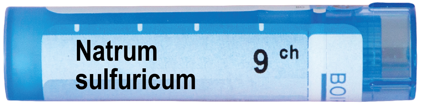 Boiron Natrum sulfuricum Натриум сулфурикум 9 СН