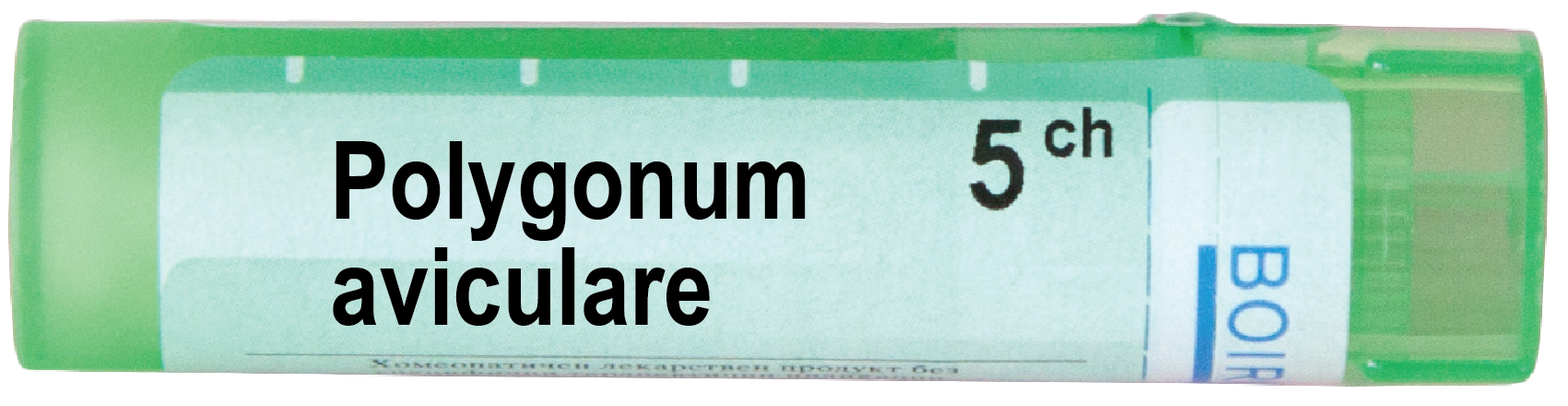 Boiron Polygonum aviculare Полигонум авикуларе 5 СН
