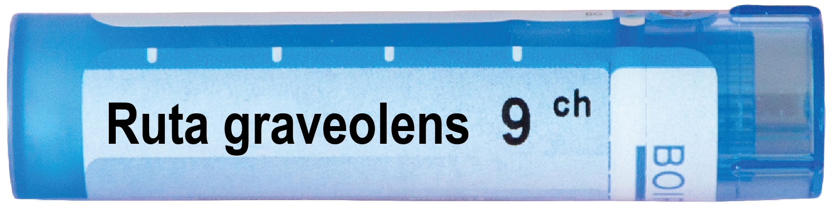 Boiron Ruta graveolens Рута гравеоленс 9 СН