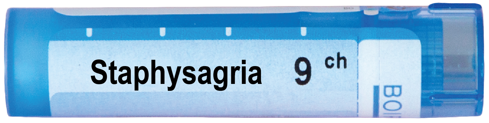 Boiron Staphysagria Стафисагриа 9 СН