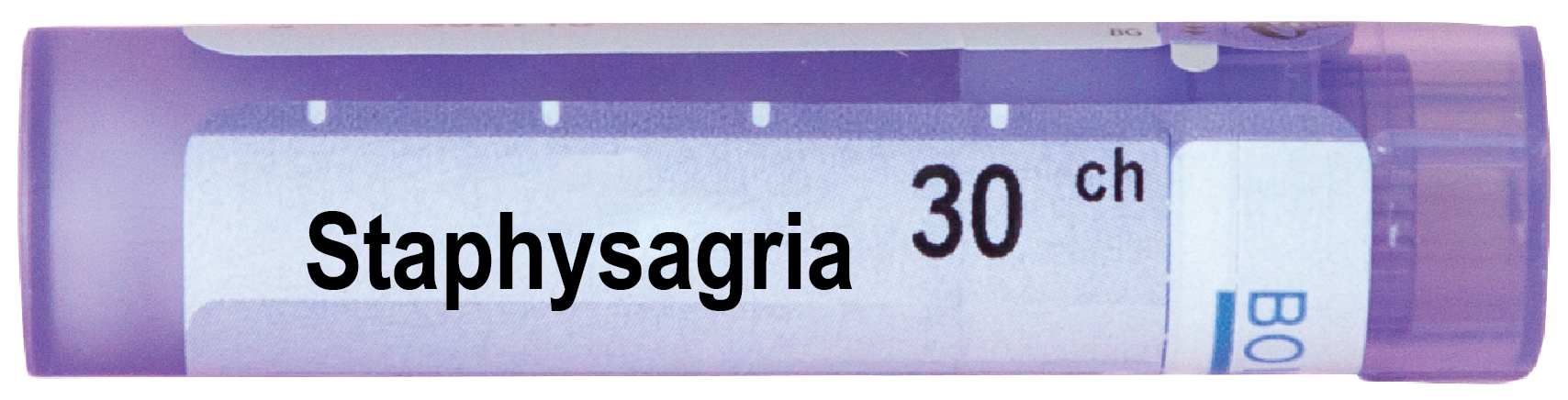 Boiron Staphysagria Стафисагриа 30 СН