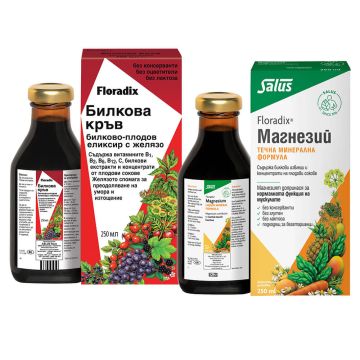 Floradix Magnesium сироп 250 мл + Floradix Билкова кръв сироп с желязо 250 мл Комплект