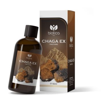 Тинктура Чага Екс 100 мл Biotica
