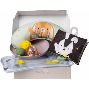 Бебешки игрален комплект Зайчето Джени 7 части Taf Toys 