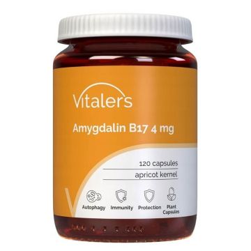Vitalers Амидалгин 4 мг х 120 капсули