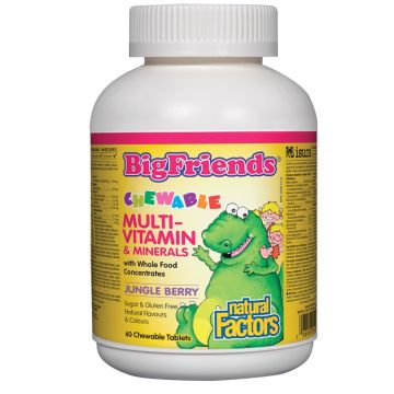 Natural Factors Big Friends Chewable Multi Vitamins Мултивитамини за деца 238 мг х 60 дъвчащи таблетки