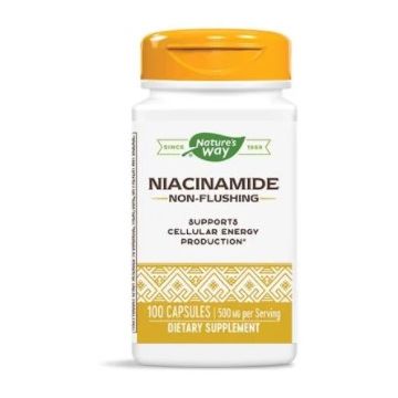 Nature's Way Niacinamide Витамин В3 Непредизвикващ зачервяване 500 мг 100 капсули