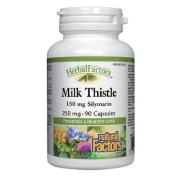 Natural Factors Milk Thistle Млечен бодил при проблеми с черния дроб 250 мг х 90 капсули